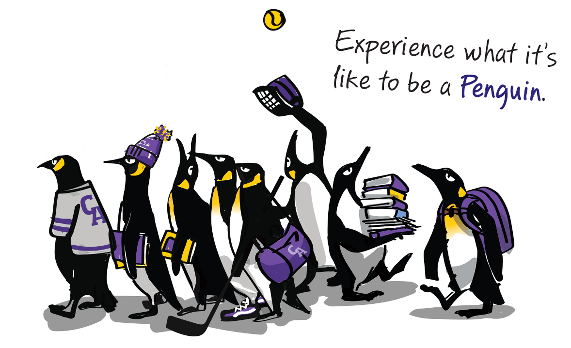 revisit-day-penguins